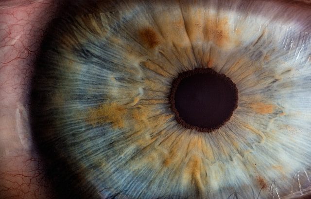 Close-up macro photograph of a human eye showing the iris and cornea