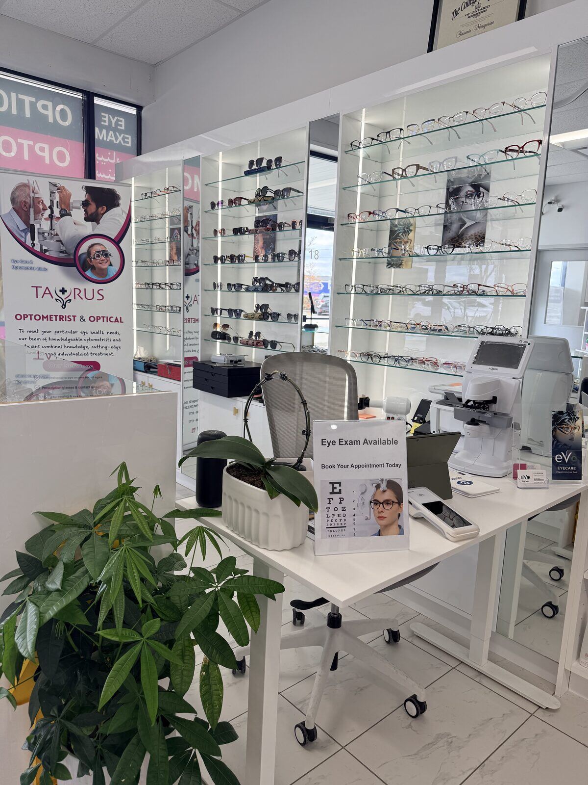 Inside Evo EyeCare in Newmarket — designer eyewear displays, autorefractor and pretest equipment at the optical counter where Dr. Roxanna Gangi performs eye exams and contact lens fittings for York Region patients.